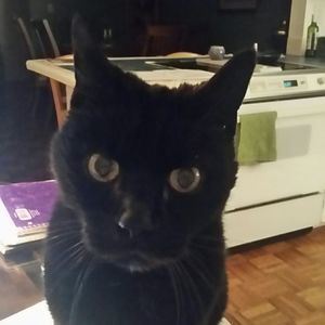 Meet your Posher, Sheila